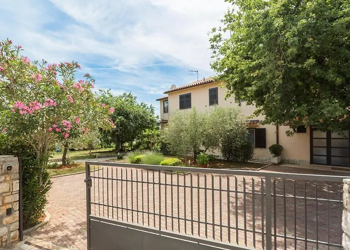 아파트 Kukci 7166b *